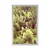 Plakat gozd z napisom Freedom - 30x45 no frame