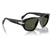 Sončna očala Persol PO0050S 95/31