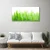 tulup.si Slika na steklu Grass nature rastlin 100x50 cm 2 obešalnika