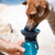 Prenosna plastenka za vodo za pse SimpleH2O