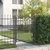 Vidaxl Vrata ograje s bodicami EMMEN 150 x 100 cm