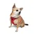 PAWS & WHISKERS Am za pse Air Mesh Garnet XS