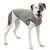 Kurgo Core pulover za pse Heather Black L