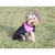 Vest Doggie Jacket za pse roza oblačila velikost 4XL