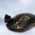 INF Protizdrsni trak za miško za Logitech GPW1 Gold, (21297006)