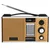 Radio Leotec LT-2009