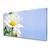 tulup.si Slika na steklu Daisy rastlin narava 100x50 cm 2 obešalnika