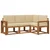 Set vanjskih sofa s jastukom 4 pcs Prirodna i bež