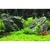 Seachem Acid Buffer 600 g
