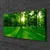 tulup.si Slika na platnu Forest park nature 100x50 cm