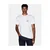 ARMANI EXCHANGE Majica temno siva/bela
