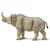 Safari Megacerops dinozaver