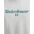 UNDER ARMOUR Funkcionalna majica barva blata/pegasto siva/smaragd