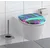WC deska Schütte NEON PAINT Duroplast, Soft Close