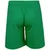 Puma Teamrise Short