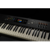 Studiologic Numa X Piano 88 Digitalna klavijatura