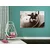 Slika starinski gramofon - 60x40