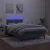 Vidaxl Box spring postelja z vzmetnico LED temno siva 120x200 cm žamet