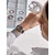 Victorinox 242035 INOX
