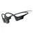 Shokz Slušalke Shokz OpenRun USB-C Mini