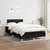 vidaXL vidaXL Box spring postelja z vzmetnico črna 120x190 cm blago, (21111913)