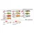 Vobler Rapala Skitter Pop SP5