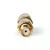 SMA Adapter | SMA RP M – SMA Ž | 24K Pozlata | 2 kom | Box Pack | NEDIS