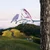 Atelier Del Sofa Dekorativna figura Bird on the branch 22, 20x40 cm, 1.5 mm, Šarena