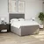 Vidaxl Box spring postelja z vzmetnico taupe 140x200 cm blago