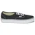 Vans  Nizke superge AUTHENTIC  Črna