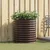 Povišena gredica Smeđa 80 x 80 x 81 cm Čelik