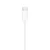 APPLE EarPods ( USB-C) with Type C Connector myqy3zm/a