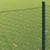 Vidaxl Šesterokotna ograja Zelena 0,6 x 50 m PVC