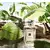 Jo Malone London Wood Sage & Sea Salt Cologne Unisex kolonjske vode - Eau de Cologne