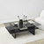 HANAH HOME Sto za dnevnu sobu Saga Rectangle Black Fume