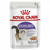 ROYAL CANIN Vlažna hrana za mačke preko 12 meseci starosti, u formi paštete Sterilised loaf 85gr x 12kesica