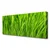 tulup.si Slika na platnu Grass nature rastlin 125x50 cm