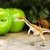 Safari Coelophysis dinosaver