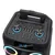 NDR Bluetooth zvučnik NDR-B312, 40W, 2 mikrofona, Crni
