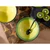 Creatable SET POSOD Hot Green  16,5/6 cm