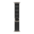 Apple Watch Strap Alpine Loop 49mm black