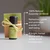 Set Revive Essential Oil Blend 10 ml