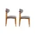 Hanah Home Set trpezarijskih stolica Lionte , 2 komada, Svetlosivi