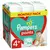 Ecomm Pampers Pants MSB S6