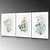 Wallity Image UV-970, 45 x 65 cm
