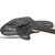 Schecter Banshee Bass Carbon Grey (CBG) SKU #1440