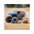 Losi Mini LMT 1:18 4WD RTR Son-Uva Digger