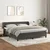 Vidaxl Box spring postelja z vzmetnico temno siva 180x200 cm žamet