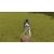 House Flipper - Pets Edition (Nintendo Switch)