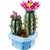 LEGO Botanicals Kaktus u cvatu 11509, Uzrast 9+
